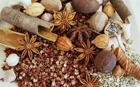 herbal extracts medicinal plant  herb