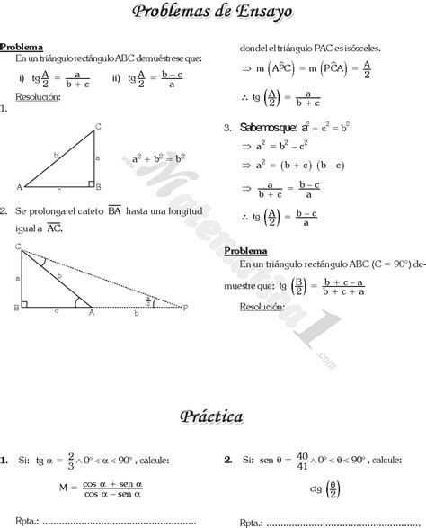 Razones Trigonometricas De Angulos Agudos Ejercicios Resueltos Pdf