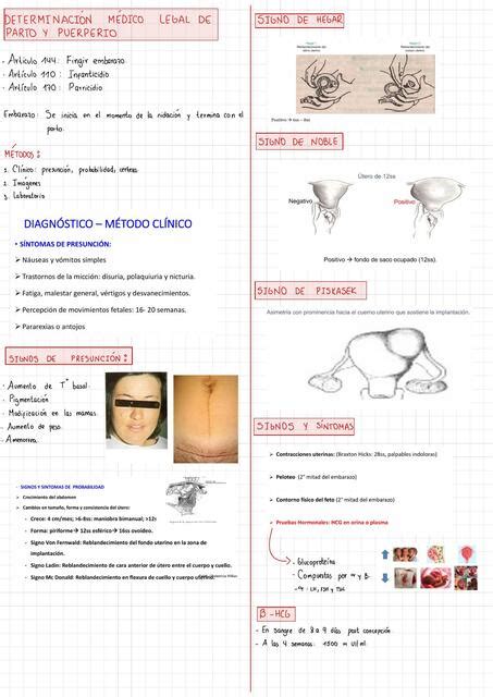 Resumen Obstetricia Forense Maria Joaquina Lombardi Udocz