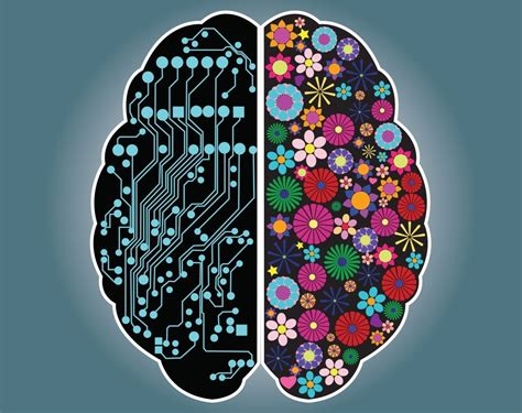 Cerveau Droit Vs Cerveau Gauche Un Concept Psychologique Porteur