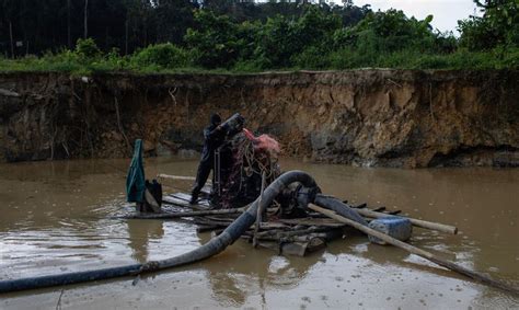 Opera Es Do Governo Federal Na Terra Ind Gena Yanomami Resultam Em