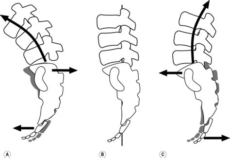 Common Presentations And Diagnostic Techniques Musculoskeletal Key