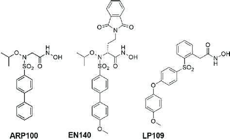 Structures Of Tested Mmp Inhibitors Download Scientific Diagram