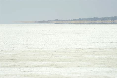 Etosha Salt Pan 3 Etoscha Pictures Namibia In Global Geography