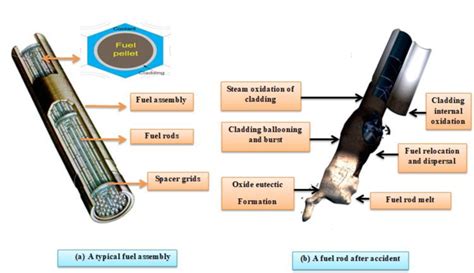 (a) A typical fuel assembly, (b) A fuel rod after accident (Zinkle et ...