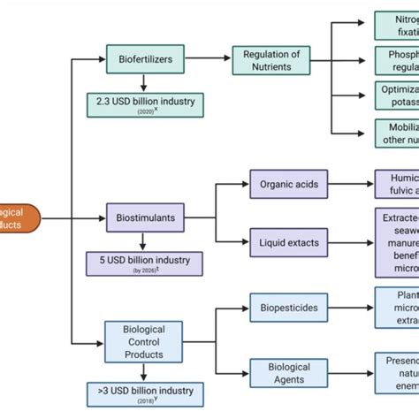 Summary Of The Various Types Of Biological Products And Their Market