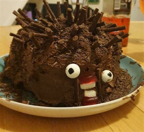 Can Anyone Actually Make A Hedgehog Cake Correctly It Appears Not 25