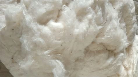 Raw Cotton Bales Combed Organic Cotton Yarn - Buy Raw Cotton Bales,Combed Cotton Yarn,Organic ...