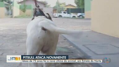 Ja Edi O Regional Pitbull Volta A Atacar Em Estrela Do Norte