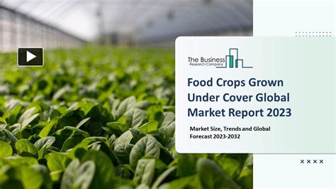 Ppt Food Crops Grown Under Cover Market 2023 Cagr Status Major