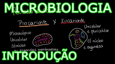 Aula Microbiologia M Dica Introdu O Hist Ria E Conceitos Gerais