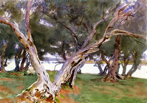 John Singer Sargent Usa 1856 1925 Olive Trees Corfu 1909