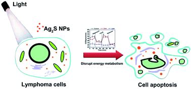 Silver Sulfide Nanoparticles For Photodynamic Therapy Of Human Lymphoma