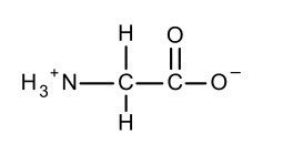 Biochem Amino Acids Flashcards Quizlet