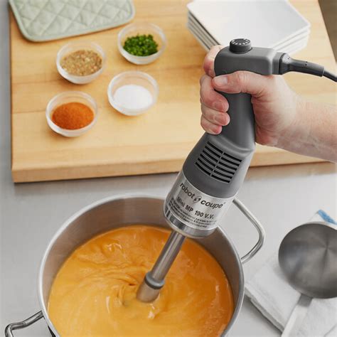 Robot Coupe Mmp Vv Mini Variable Speed Immersion Blender Hp