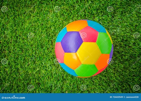 Real Leather Colorful Multi Colour Soccer Ball On Green Grass Stock Image Image Of Field