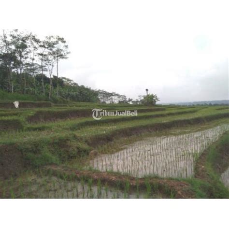 Dijual Tanah Semarang Di Sawah Pemandangan Cantik Di Kabupaten Semarang