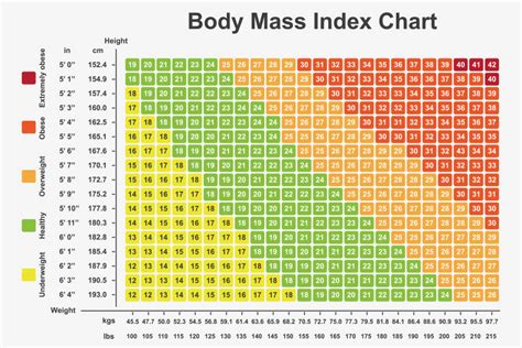 Body Mass Index or Body Fat Percentage — Which is More Important? – DMoose