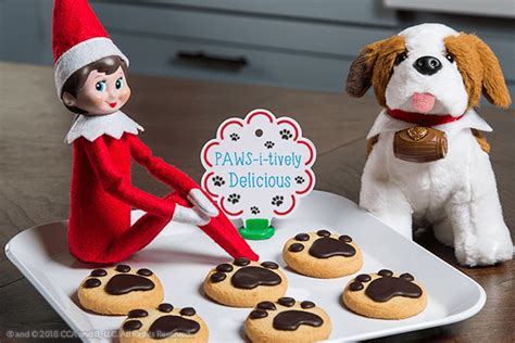 Exciting Activities You Can Do With Your Elf Pets The Elf On The Shelf