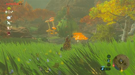 Zelda Breath Of The Wild Dónde Encontrar Todas Las Fuentes De La Gran Hada Eurogameres