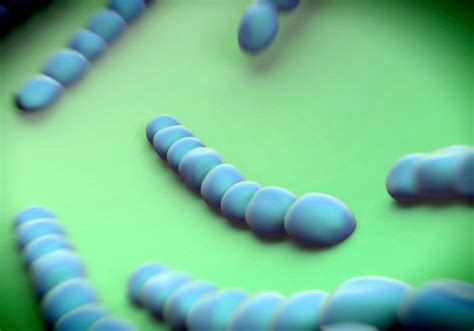 svijetom se siri nova podvrsta streptokoka pod nazivom emm zdravlje