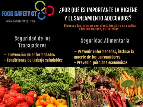 Saneamiento De Alimentos - Lessons - Blendspace