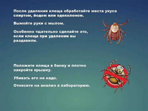 Клещевой вирусный энцефалит - презентация онлайн