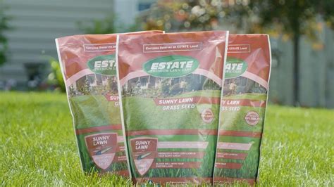 Estate Sunny Grass Seed Estate Premium Lawn Care Youtube