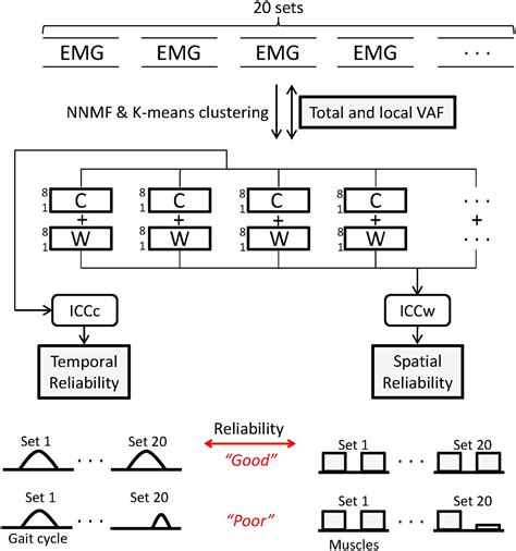 Frontiers Novel Methods To Enhance Precision And Reliability In