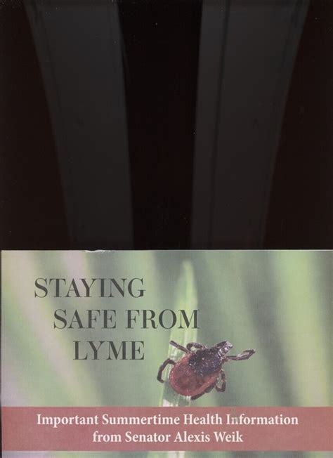 Staying Safe From Lyme Healthdisease Illustrated Pamphlet Long Island Rare Ebay