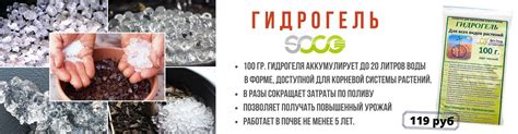 Семена цветов. Магазин семян цветов. Семена комнатных цветов в Санкт ...