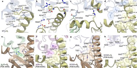 G Protein Interactions At The Interfaces A B Hydrophobic A And