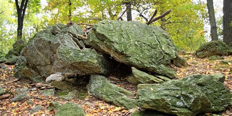 Free Images Tree Forest Rock Wilderness Leaf Flower Trunk