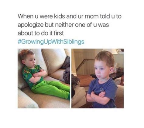 Growing Up With Siblings 20 Hilarious Memes That Sum Up The Love Hate