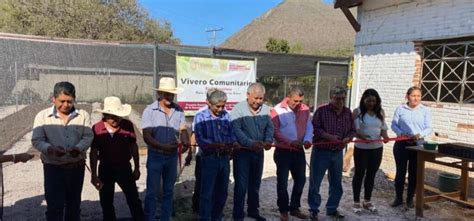 Inauguran Vivero Comunitario En Amojileca El Sol De Chilpancingo