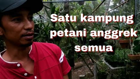 Tour Ke Kebun Anggrek Mas Sutikno Kampung Anggrek Mulyosari Pager Wojo