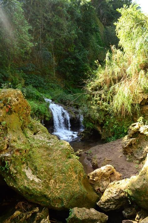 Cascadas Del El Nicho En Cienfuegos Cuba Imagen De Archivo Imagen De