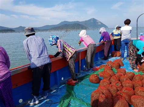 신안군 수산자원 산란·서식장 조성사업비 100억 확보