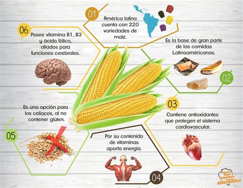 Qué funcion tiene el maiz en el organismo Veganplace