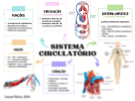 Solution Mapa Mental Sistema Circulat Rio Studypool