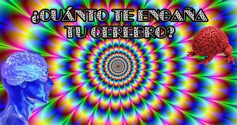 Lo Mucho Que Te Enga A Tu Cerebro Enga Ado Cerebro Entretenimiento