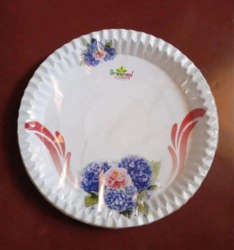 12 Inch ITC 190 GSM Printed Paper Plate At Rs 2 75 Piece Champahati