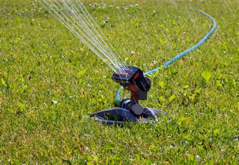 How To Get Rid Of Standing Water In Your Yard Andy’s Sprinkler