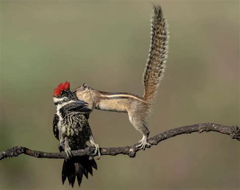 Sue Was Shocked At How Fast Her Gay Best Friend Collin Decided To Shoot His Shot With Her After