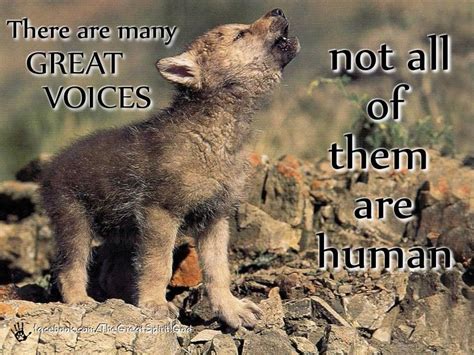 Native American Wolf Quotes Sayings