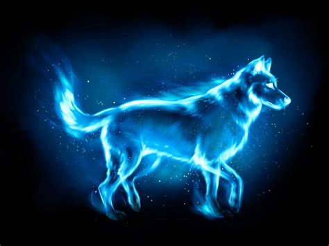 I Analyze My Patronus And Wand | Harry Potter Amino