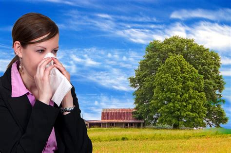 Heuschnupfen Pollenallergie H Ufigste Allergie In Den Industriel Ndern