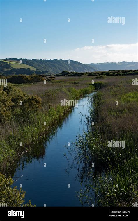 Slapton Ley Slapton Sands Devon Stock Photo Alamy