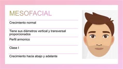 Cefalometria Del Biotipo Facial Ortodonciapptx Ppt