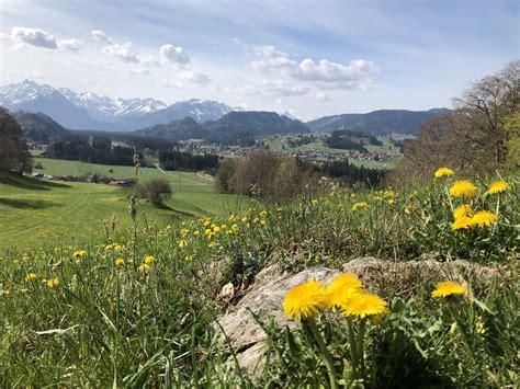 Fischen im Allgäu oberallgaeu info